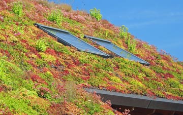 Cadmore End living roof systems